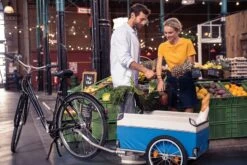 XLC Carry Van BS-L03 16 Zoll 13 XLC Carry Van BS-L03 16 Zoll -Lapierrik Verkaufe Anhaenger Lastenanhaenger XLC Carry Van BS L03 Carbo Croozer ab 2018 3092003001 4055149229696e